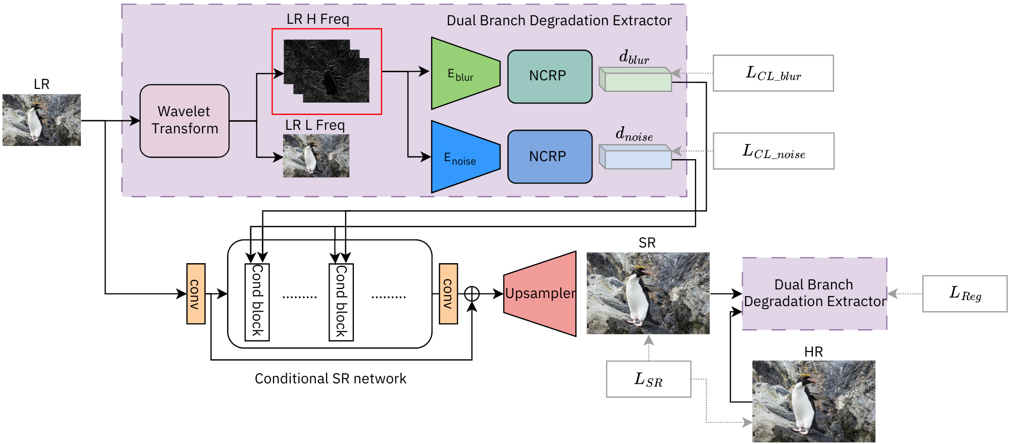 Two Heads Better than One: Dual Degradation Representation for Blind ...