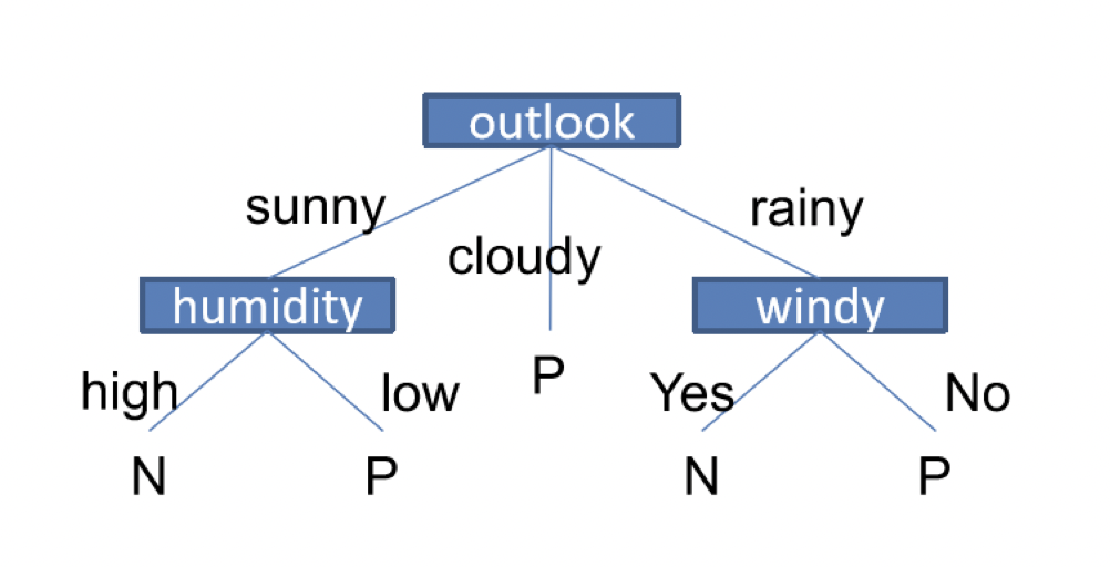 classification