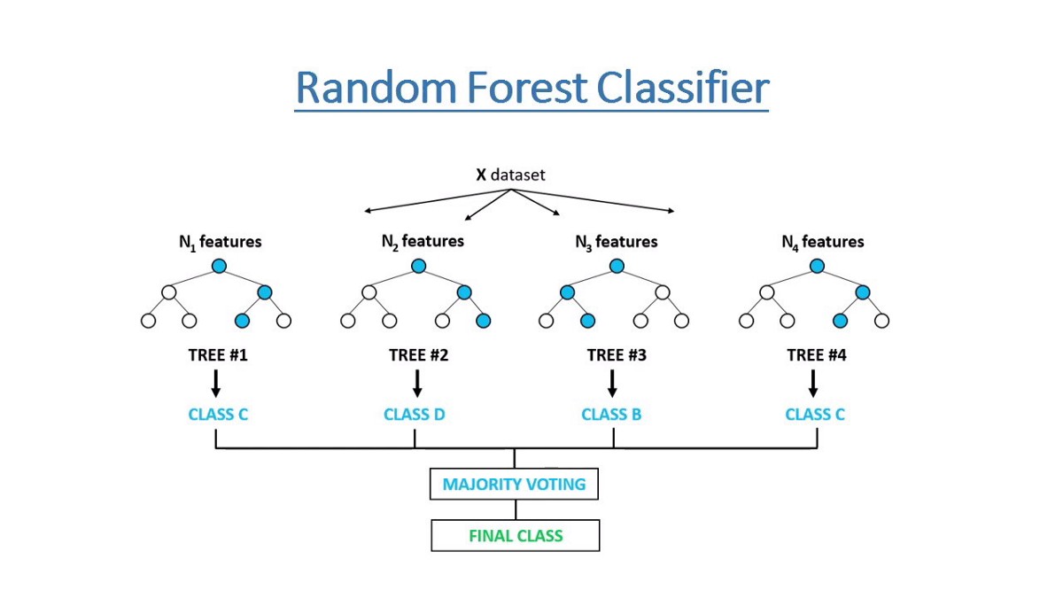 classification